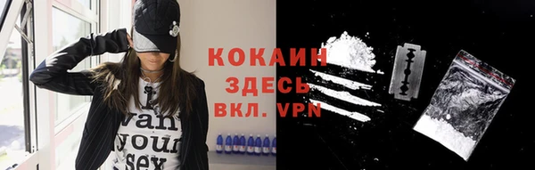 мдпв Дмитриев