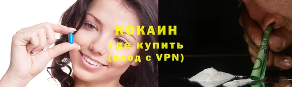 мдпв Дмитриев