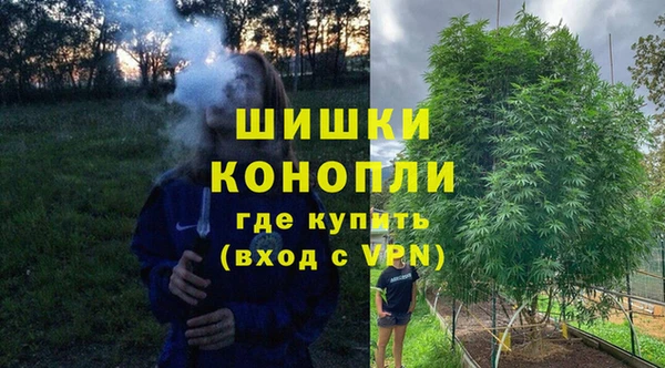 мдпв Дмитриев