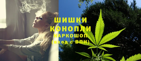 PSILOCYBIN Дмитров