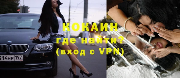 мдпв Дмитриев