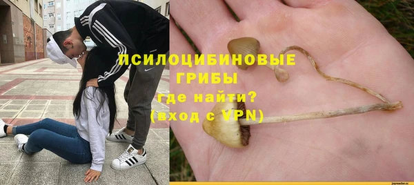 PSILOCYBIN Дмитров