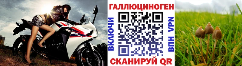 Галлюциногенные грибы мухоморы Юхнов